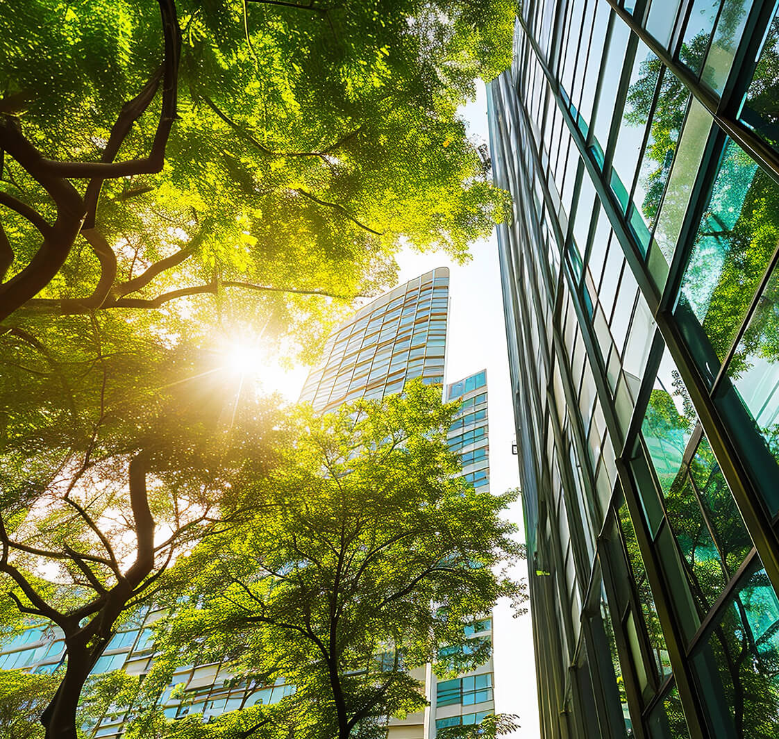 Eco-Friendly Glass Office Building in City