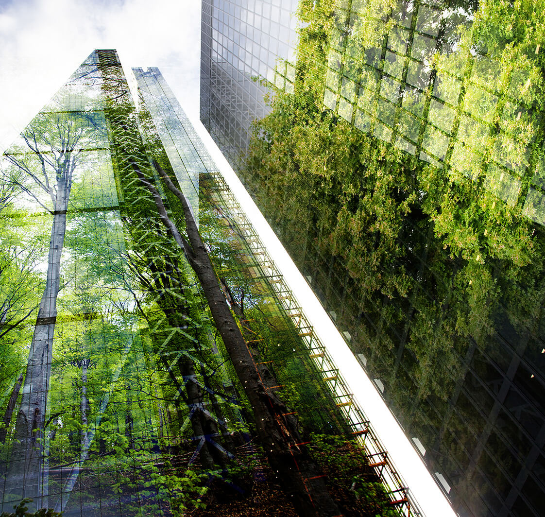 Green city - double exposure of lush green forest and modern skyscrapers windows.