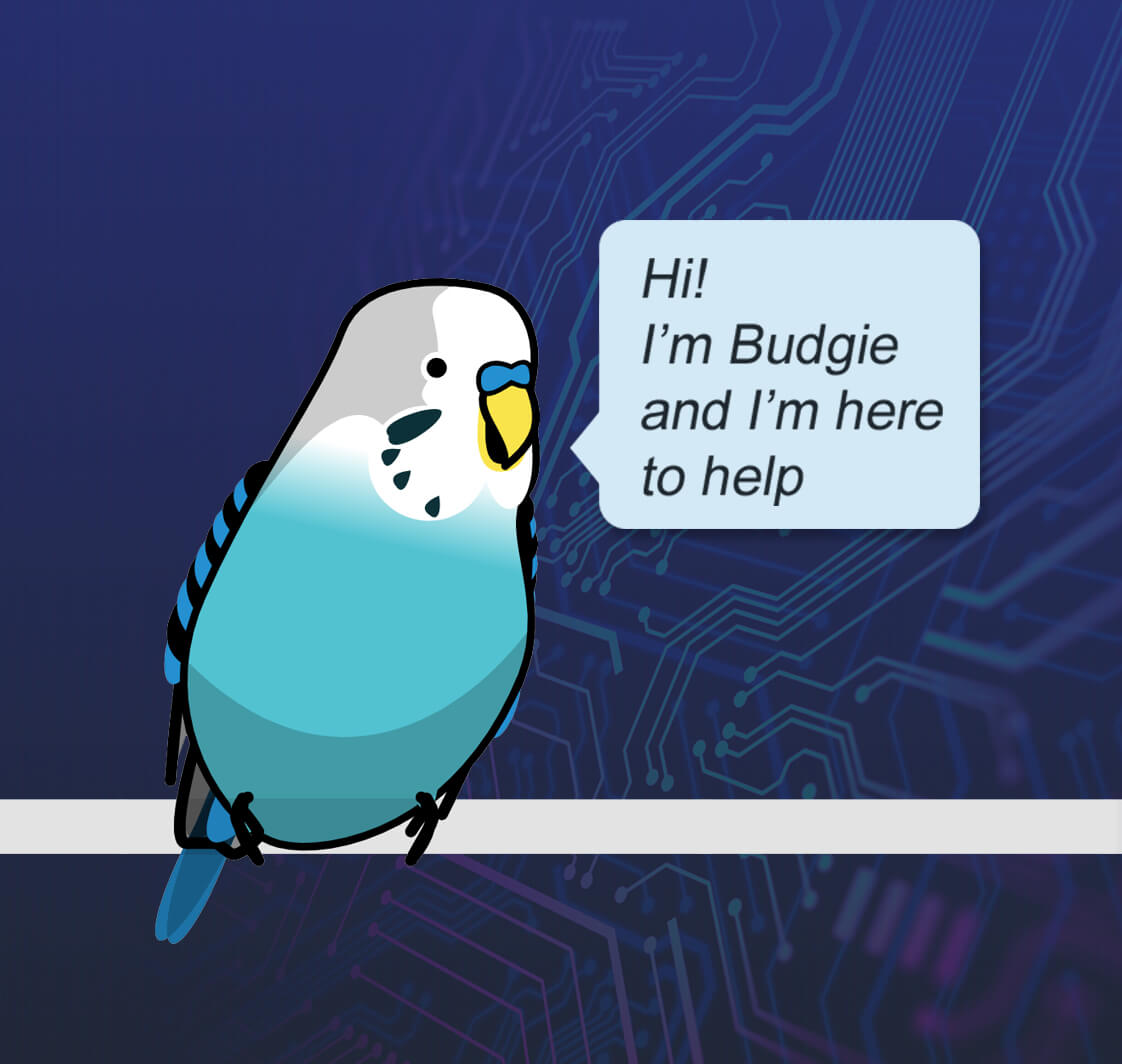 Inicio AI Budgie talking.